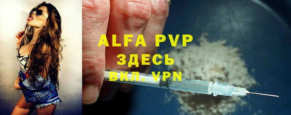амф Новозыбков