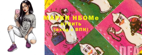 амф Новозыбков