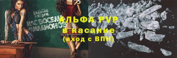 трава Абаза